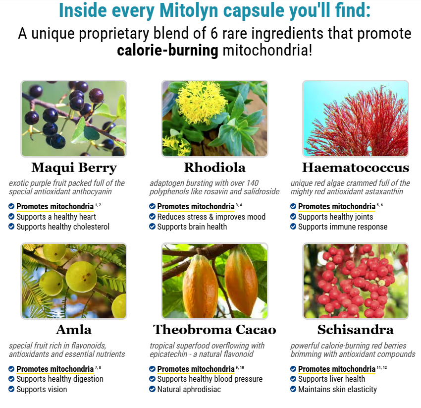 Natural ingredients used in Mitolyn supplement